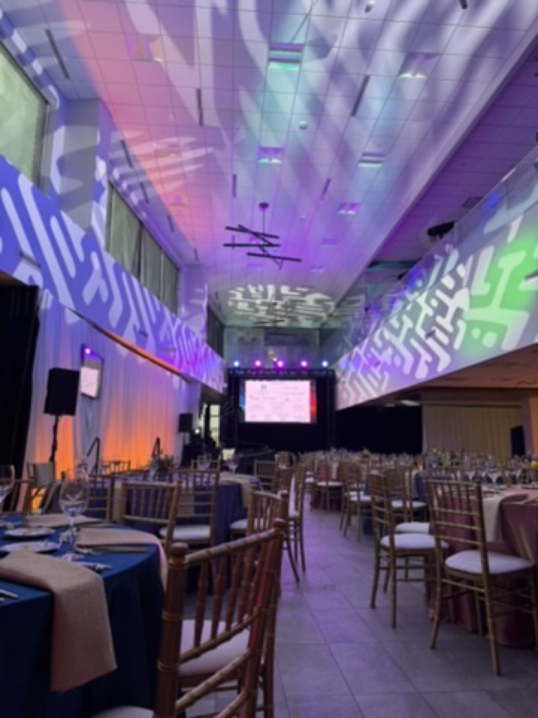 Ballroom lighting and projection