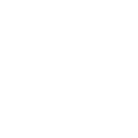Brave Wilderness